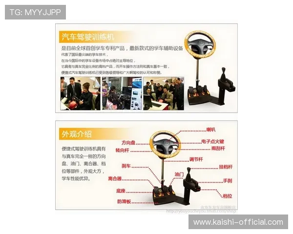 尊龙网站人生就是博：在虚拟平台中学习人生决策与风险管理技巧